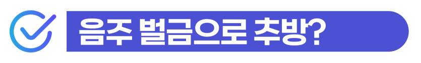 음주운전벌금300만원 외국인 강제출국 사범심사 기준과 체류 유지 대응 방법 설명 이미지