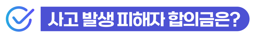 음주운전벌금300만원 외국인 강제출국 사범심사 기준과 체류 유지 대응 방법 설명 이미지