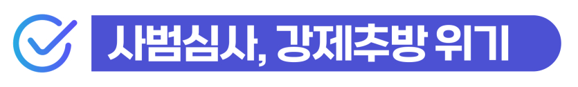 위명여권 위조여권 사용 외국인 여권법 위반 처벌과 강제퇴거 위험 및 대응 전략 설명 이미지
