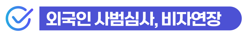 음주운전약식기소 벌금300만원 이상 외국인 사범심사와 비자연장 영향 설명 이미지