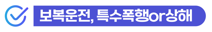 상해합의금 조율로 특수 사건의 형량을 낮추고 사범심사를 방어하여 비자연장에 성공하는 단계를 설명을 돕기 위한 이미지