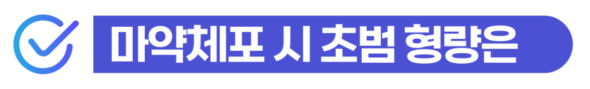 마약초범형량 및 외국인 체포 후의 사범심사와 강제 퇴거 대응법을 설명을 돕기 위한 이미지
