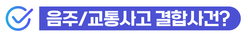 외국인무면허운전처벌 및 방조 위기 상황에서 도로교통법 위반 형량을 낮추고 출입국 사범심사를 방어하여 비자를 유지하는 단계를 설명하기 위한 이미지