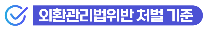 외환관리법위반처벌 위기 상황에서 불법환전 혐의를 조속히 소명하고 정상을 참작 받아 외국인 체류 자격을 안정적으로 보존하는 단계를 설명하기 위한 이미지