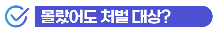 외국인보이스피싱변호사 조력으로 수거책 처벌을 낮추고 강제추방을 막아 한국 비자를 지키는 과정을 보여주는 이미지