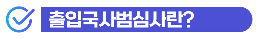 음주운전재범처벌 위기에서 벗어나기 위해 술을 마시고 다시 운전하게 된 상황을 소명하고, 추방 위험을 막아 비자를 지키는 과정을 나타낸 이미지