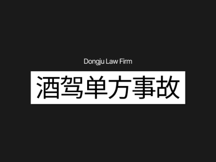 음주운전 단독사고 酒驾单方事故